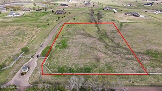 0 Cane Creek Rd Unit 4109741, Flora, MS 39071