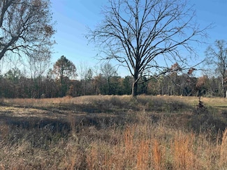 591 Bens Cir, Clinton, AR 72031