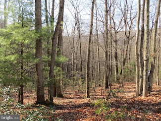 12 Cedarwood Drive Rd, Mathias, WV 26812