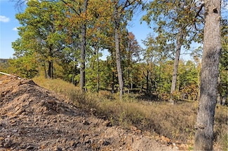 Lot 88 Restore Cir, Harrison, AR 72601