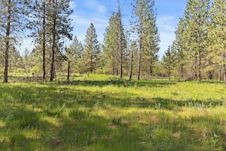 6601 Stony Way, Nine Mile Falls, WA 99026