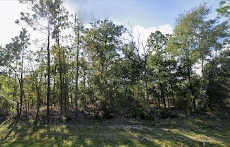 205 New Jersey Ave, Hawthorne, FL 32640