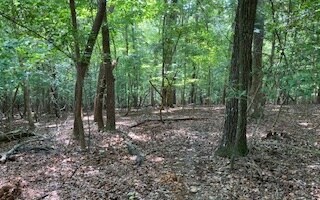 LT493 Villa Dr, Ellijay, GA 30540