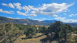 549 Milner Pass Rd, South Fork, CO 81154