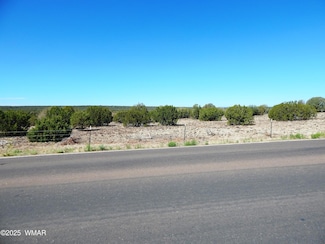 8061 White Mountain Lake Rd, Show Low, AZ 85901