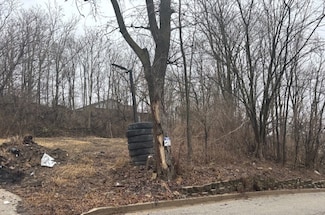 Lot 29 Block 1 Vacan Fairview Ave, Joliet, IL 60432