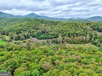 10 ACRES Mount Pleasant Church Rd, Blairsville, GA 30512