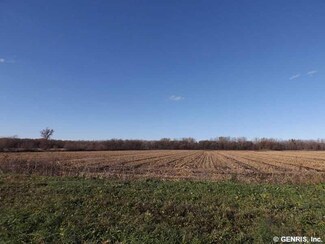 Lot 6 W Muck Rd, Elba, NY 14058