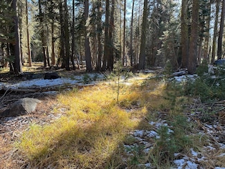 550 Cabbage Patch Log Rd, Tamarack, CA 95223