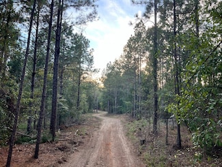 0 Pearson Rd, Blair, SC 29015