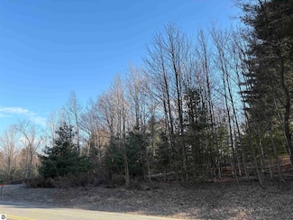 0 W Trumbull Rd Unit 1932484, Maple City, MI 49664
