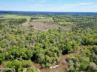 0 Egg Farm Rd, Poplarville, MS 39470