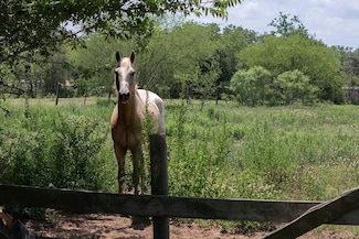 3508 Moulton Rd, Gonzales, TX 78629