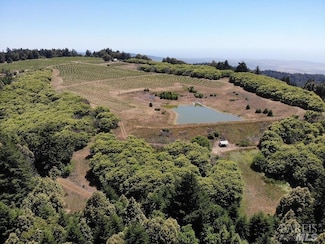 39000 Crispin Rd, Manchester, CA 95459
