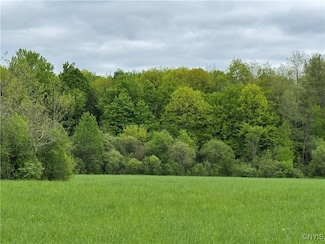 0 Lemay Rd, Ellisburg, NY 13605