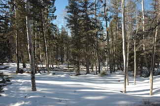 0 Taos Dr, Angel Fire, NM 87710