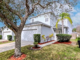 25925 Terrawood Loop, Land O Lakes, FL 34639