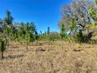 00 Unnamed, Spring Hill, FL 34610