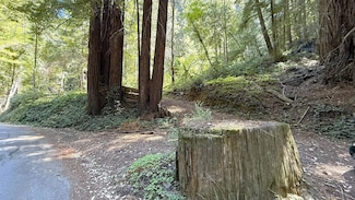 15645 Stetson Rd, Los Gatos, CA 95033