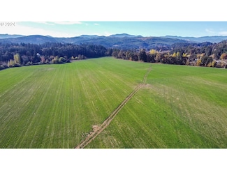 9375 Steel Bridge Rd, Sheridan, OR 97378