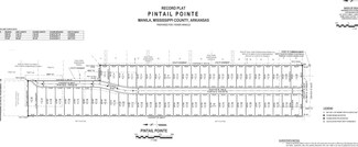 Lot 6 Pintail Pointe, Manila, AR 72442