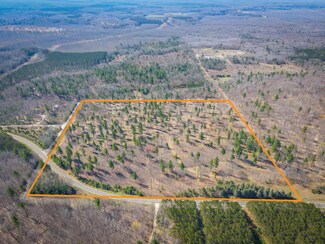 V/L River Rd, Manistee, MI 49660