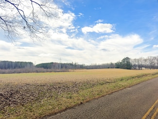 0 Damon Rd, Michie, TN 38357