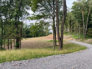 225 Stoup Rd, Mars, PA 16046