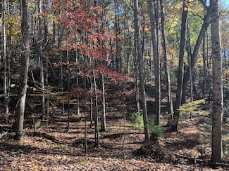 LT449 Apache Ct, Ellijay, GA 30540