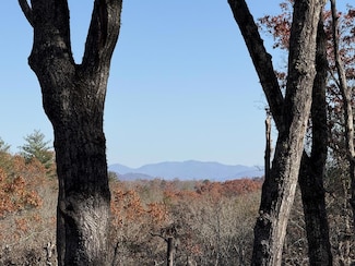 Lot 75 Morgan Rd, Mineral Bluff, GA 30559