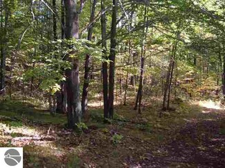 0 Heath Rd Unit 1763519, South Branch, MI 48761