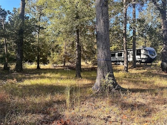 476 W Woodland Shores Dr, Point Blank, TX 77364