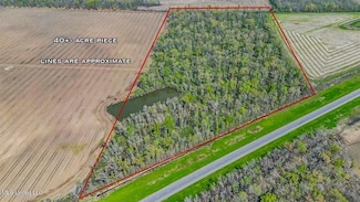 4001 Highway 65, Clayton, LA 71326