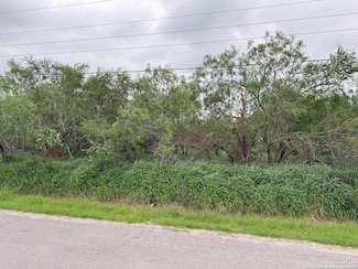 2008 Lopez Gutierrez Ct, Donna, TX 78537