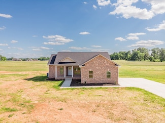 5359 Roy Holman Rd, Springfield, TN 37172