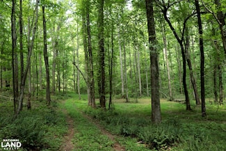 0 Cr-66, Goodwater, AL 35072