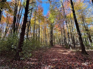 12056 Old State Rd, Chardon, OH 44024