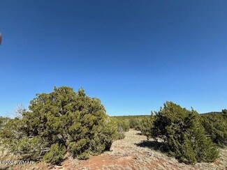 10A-NW Tbd 107-37-029 B, Vernon, AZ 85940