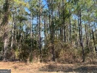 241 Valhalla Rd S, Cordele, GA 31015