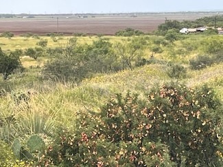 TBD4 County Road 405, Merkel, TX 79536