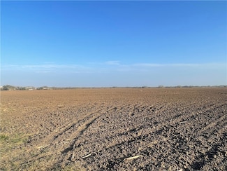 Lot 4 County Road 798, Sinton, TX 78387