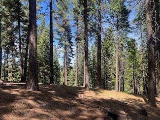 172 Slim Dr, Lake Almanor West, CA 96020