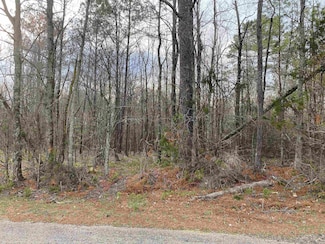 0 Old Union Rd Unit 10168137, Adamsville, TN 38310