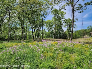 28 Vosenkill Rd, Catskill, NY 12414