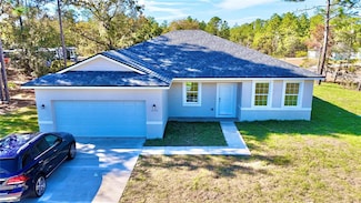 10984 N G Martinelli Blvd, Citrus Springs, FL 34433