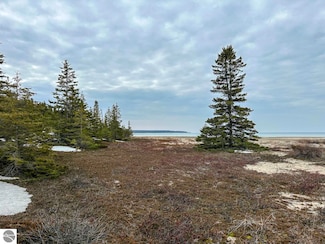 TBD Mrs Reddings Trail, Beaver Island, MI 49782