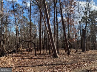 0 Trillium Ln, Cross Junction, VA 22625