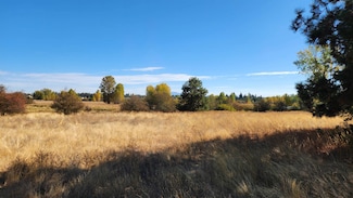 000 Spring Creek Rd, Deer Park, WA 99006