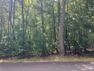 Lot 20 Settlers Trail None, Mars Hill, NC 28754
