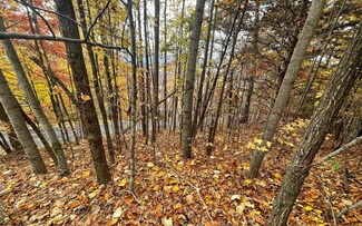LT24B Grandview Dr, Hayesville, NC 28904